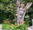 Abgesägten Baumstamm Dekorieren Luxus Bright Inspiration Baumstumpf Garten Dekorieren Hauswurz