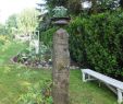 Abgesägten Baumstamm Dekorieren Luxus Princessgreeneye Gartenverschönerung Und Einige
