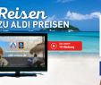 Aldi Rankgitter Best Of Line Services Von Aldi nord – Praktische Dienste Für Kunden