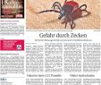 Aldi Rankgitter Luxus Weser Report Weyhe Syke Bassum Vom 29 04 2018 by Kps
