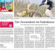 Aldi Rankgitter Schön Weser Report Mitte Vom 15 04 2018 by Kps