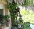 Alten Garten Neu Gestalten Luxus Ladder Plant Stand with Birdhouses & Other Cottage Style