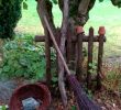Alter Stuhl Als Gartendeko Luxus Wehato Wehato Auf Pinterest