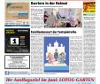 Asiatische Gartendeko Neu Blicklokal Wertheim Kw23 2017 by Blicklokal Wochenzeitung