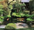 Asiatische Gartendeko Neu Polubienia 560 Komentarze 9 – Garden Koi