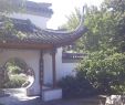 Asiatischer Garten Genial Chinesische Garten Stuttgart Aktuelle 2020 Lohnt Es