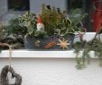 Außendeko Best Of Fensterbank Mit Weihnachtsdeko Bilder Und Fotos