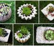 Ausgefallene Gartendeko Selber Machen Genial Kreative Mitbringsel Aus Beton