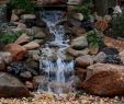Bachlauf Im Garten Inspirierend Gorgeous Backyard Ponds and Water Garden Landscaping Ideas