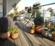 Balkon Gestalten Mediterran Neu Balkon Schnell Und Günstig Verschönern – 6 Tipps
