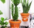 Balkon Ideen Luxus Pflanzenständer Selbstgemacht Easy Hack Für Den Balkon