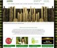 Bambus Deko Garten Schön Ficial Bamboo Import Europe Dealers