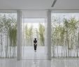 Bambusgarten Einzigartig V Studio S Rooftop Bamboo Garden