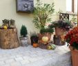 Bastelideen Für Den Garten Inspirierend Osterdeko Selber Machen Für Draußen — Temobardz Home Blog