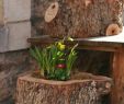 Bastelideen Für Den Garten Luxus Osterdeko Selber Machen Für Draußen — Temobardz Home Blog