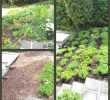 Bastelideen Garten Best Of Deko Garten Selber Machen — Temobardz Home Blog