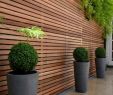 Bauideen Holz Inspirierend Sichtschutz Und Luftiger Zaun In Eins Lamellenwand Aus