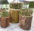 Baumstamm Deko Garten Schön Garderobenständer Holz Selber Bauen — Temobardz Home Blog