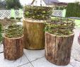 Baumstamm Dekorieren Garten Schön Garderobenständer Holz Selber Bauen — Temobardz Home Blog