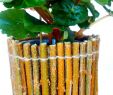 Beet Deko Best Of Diy Twig Flower Pot Twigs are Easy to Find and so Much Fun