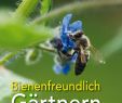 Beetbepflanzung Ideen Luxus Bienenfreundlich Gärtnern Pflanzideen Für Alle Standorte