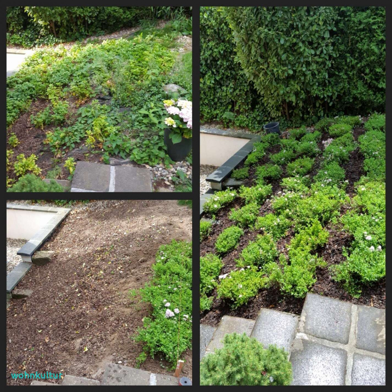 Beetgestaltung Ideen Neu Gartengestaltung Ideen Mit Steinen — Temobardz Home Blog
