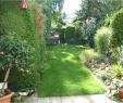 Beetgestaltung Modern Neu Gartengestaltung Ideen Mit Steinen — Temobardz Home Blog