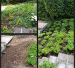 Beetgestaltung Modern Schön Gartengestaltung Ideen Mit Steinen — Temobardz Home Blog