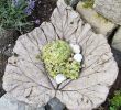 Beton Deko Garten Selber Machen Best Of Diy Concrete Leaves Blätter Aus Zement
