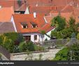 Bilder Garten Luxus Detail Od Small Red Roofed House with Tiny Garden — Stock