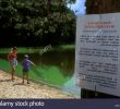 Bilder Gartengestaltung Schön Algae In Water Of Loch Garten so No One Can Swim Highlands