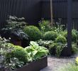 Bilder Von Gärten Genial Zimmerpflanzen Groß Modern — Temobardz Home Blog