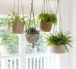 Blumenampel Selber Bauen Einzigartig Our Array Of Hanging Pots From Woven Jute Seagrass and