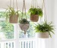 Blumenampel Selber Bauen Einzigartig Our Array Of Hanging Pots From Woven Jute Seagrass and