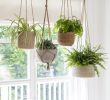 Blumenampel Selber Machen Elegant Our Array Of Hanging Pots From Woven Jute Seagrass and