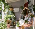 Chinesische Gartendeko Genial Hanging Plants Make This Terrace Incredible Boho Pruned