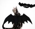 Coole Halloween Deko Schön Großhandel Katzenkleidung Marke Halloween Kostüm Haustier Fledermaus Flügel Coole Welpen Katze Schwarzes Kleid Urlaub Dekoration Allerheiligen Von