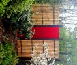 Cortenstahl Garten Online Bestellen Best Of Sichtschutz Für Den Garten Bambus Kombiniert Mit Acrylglas
