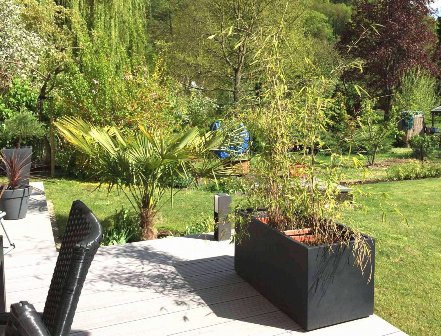 Cottage Garten Anlegen Best Of Sichtschutz Garten Pflanzen — Temobardz Home Blog