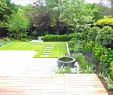 Cottage Garten Anlegen Luxus Sichtschutz Garten Pflanzen — Temobardz Home Blog