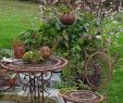 Deko Baum Garten Genial Bild Könnte Enthalten Pflanze Tisch Baum Blume Im