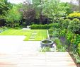 Deko Baum Garten Neu Gartengestaltung Ideen Mit Steinen — Temobardz Home Blog