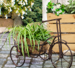 Deko Fahrrad Garten Genial Dieser Pflanzkorb Wird In Eurem Garten Zu Einem Echten
