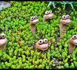 Deko Frosch Garten Inspirierend Baby Monsters Hands Eye Stalks and More