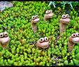 Deko Frosch Garten Inspirierend Baby Monsters Hands Eye Stalks and More