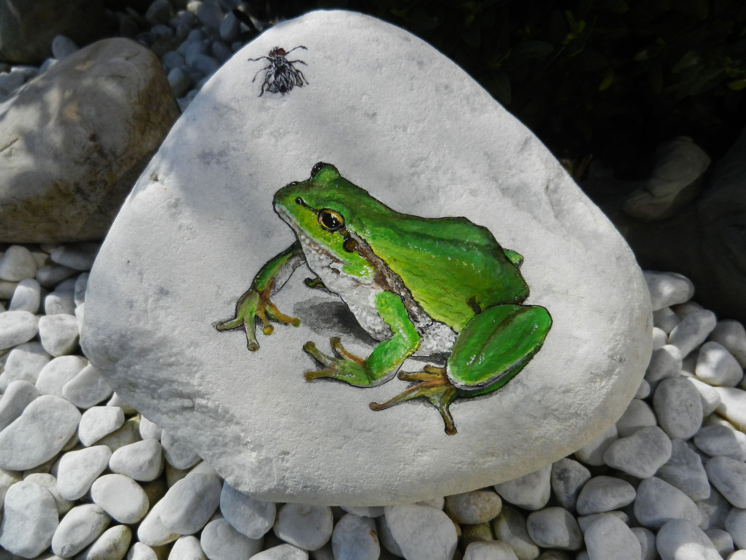 Deko Frosch Garten Inspirierend Frosch Mit Fliege Auf Stein Etwas Anspruchsvoller Für Den
