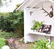 Deko Für Den Garten Einzigartig Deko Draußen Selber Machen — Temobardz Home Blog