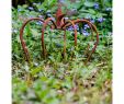 Deko Garten Rost Frisch Crown Iron Lily Garden Decoration Rust Antique Style 24cm