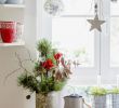 Deko Garten Weihnachten Elegant Kleine Amaryllis Für Weihnachtsdeko In Der Küche