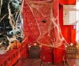 Deko Halloween Party Genial Scary Party Scene Props White Stretchy Cobweb Spider Web